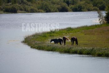 EA338592, Eastpress, Kotka, Finland
